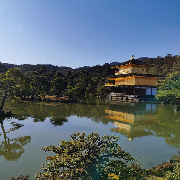Japanese vs Chinese Matcha: Why the Origin Matters